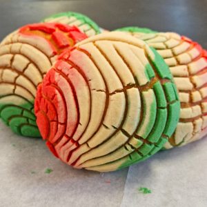 Concha Patria Mexicana