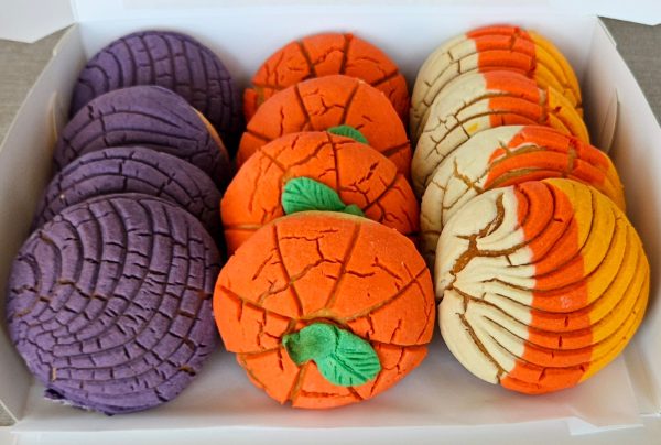 Caja con 12 piezas especial de conchas de Halloween